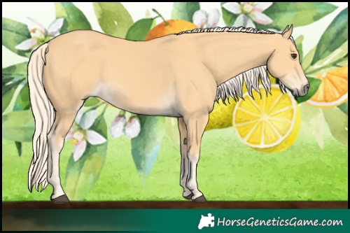 Horse Color:Palomino 