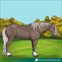 Horse Color:Silver Black 
