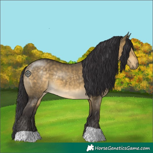 Horse Color:Buckskin Dun 