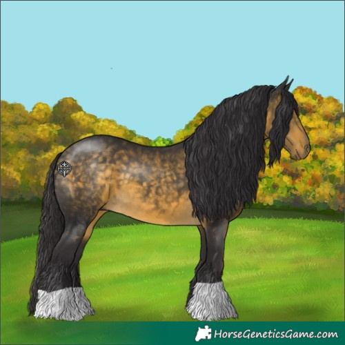 Horse Color:Buckskin 