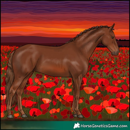 Horse Color:Chestnut Rabicano