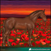 Horse Color:Chestnut Rabicano 