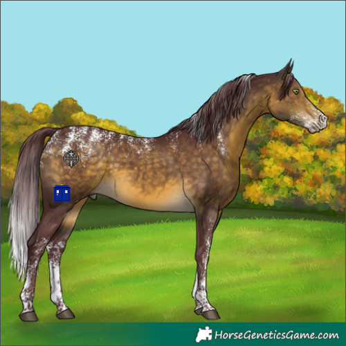 Horse Color:Powder White Chocolate Buckskin 