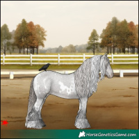 Horse Color:White Spotted Grullo Varnish 