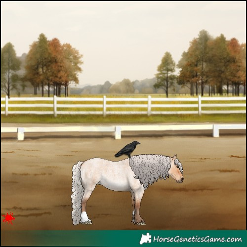 Horse Color:Silver Bay Roan Dun 