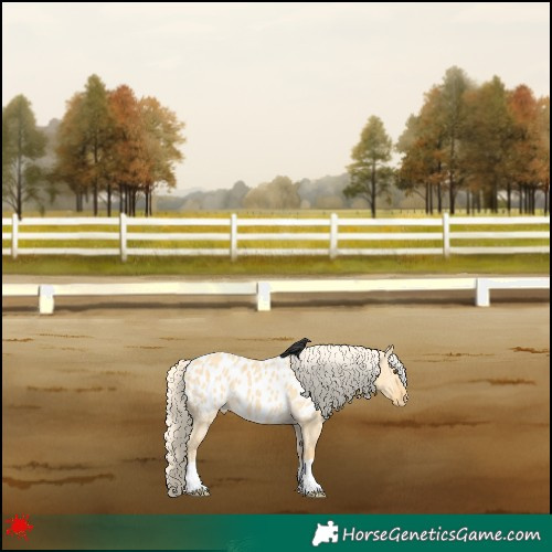 Horse Color:Palomino Dun Blanket