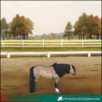 Horse Color:Brown Dun 