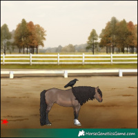 Horse Color:Brown Dun 