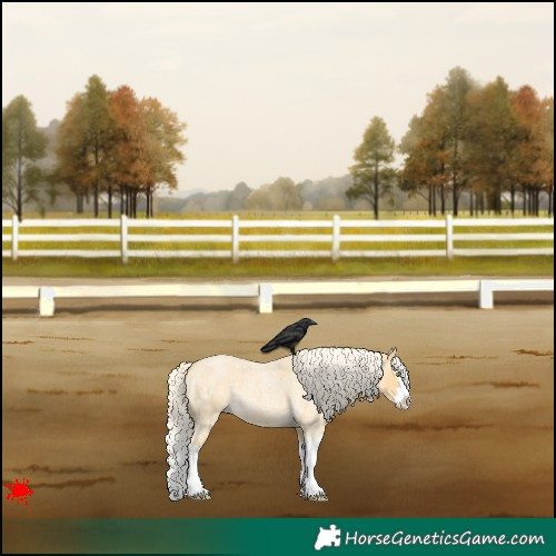 Horse Color:Gold Cream Champagne Roan Splash 