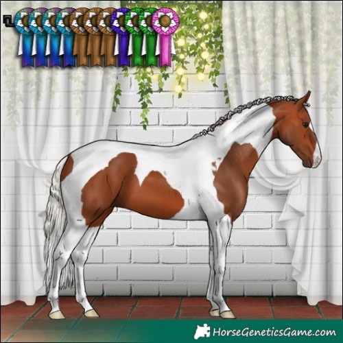 Horse Color:Silver Bay Tobiano