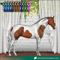 Horse Color:Silver Bay Tobiano