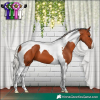 Horse Color:Silver Bay Tobiano 