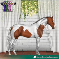 Horse Color:Silver Bay Tobiano