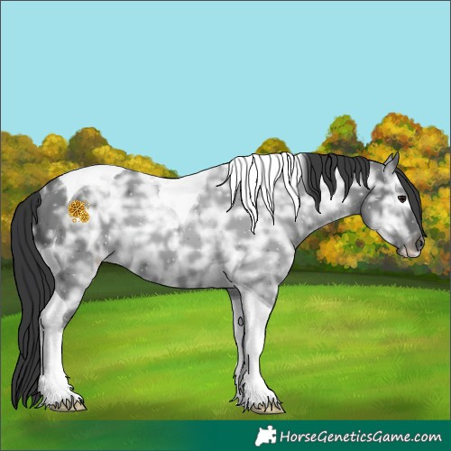 Horse Color:Black Ice Tobiano 