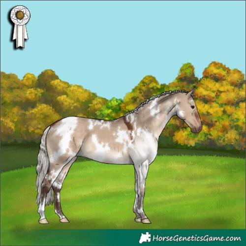 Horse Color:White Spotted Silver Brown Dun 