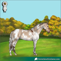 Horse Color:White Spotted Silver Brown Dun