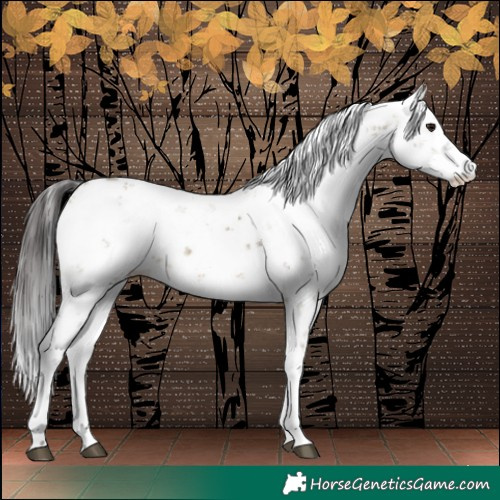 Horse Color:Buckskin Dun Sabino