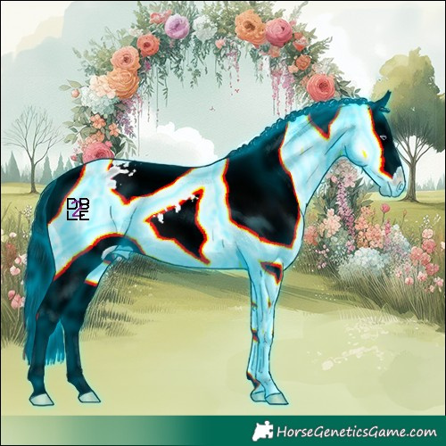 Horse Color:Thunderstruck Buckskin Chinchilla Splash Appaloosa 