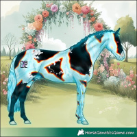 Horse Color:Thunderstruck Buckskin Chinchilla Splash Appaloosa