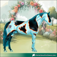 Horse Color:Thunderstruck Buckskin Chinchilla Splash Appaloosa 