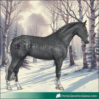 Horse Color:Silver Black Chinchilla 