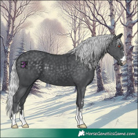 Horse Color:Silver Black Chinchilla 