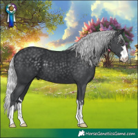 Horse Color:Silver Black Chinchilla