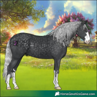 Horse Color:Silver Black Chinchilla