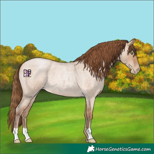 Horse Color:Bay Roan Pearl Dun