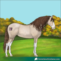 Horse Color:Brown Pearl Dun Splash