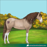 Horse Color:Brown Pearl Dun Splash 