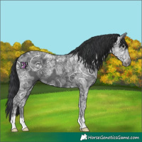 Horse Color:Black Ice