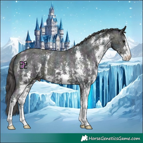 Horse Color:Midnight Black Ice Sabino Appaloosa