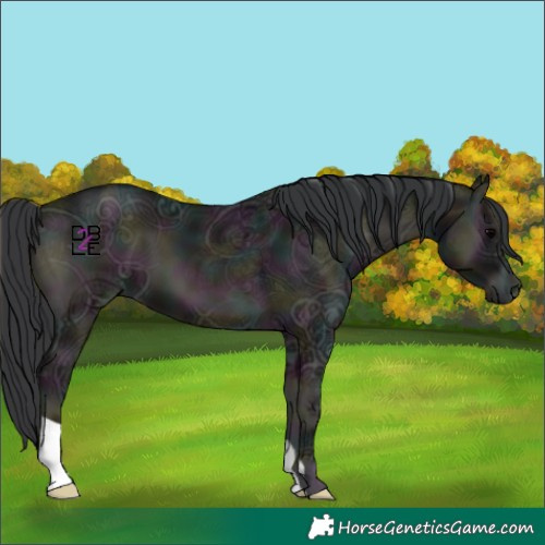 Horse Color:Midnight Blue Onyx Ice