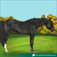 Horse Color:Midnight Blue Onyx Ice