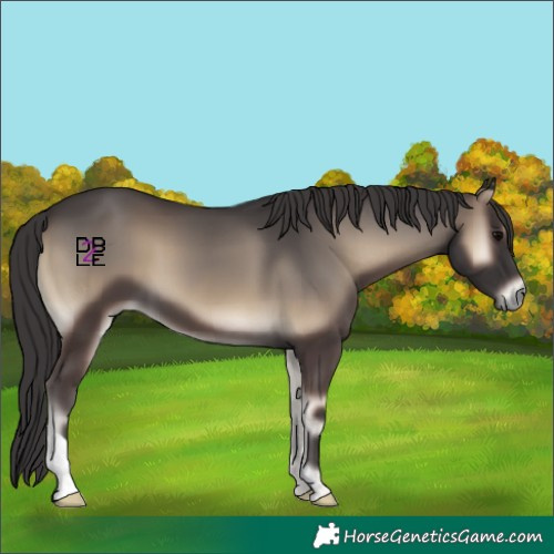 Horse Color:Smoky Blue Onyx