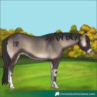 Horse Color:Smoky Blue Onyx 