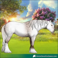 Horse Color:Gray Silver Black Pearl Tobiano 