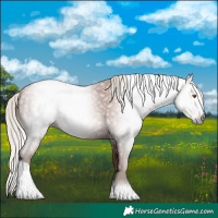 Horse Color:Gray Silver Black Pearl Tobiano 