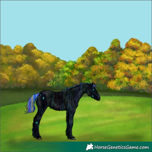 Horse Color:ERROR: UNKNOWN ANOMALY