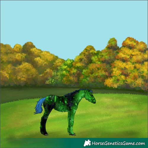 Horse Color:ERROR: UNKNOWN ANOMALY