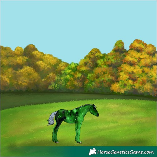 Horse Color:ERROR: UNKNOWN ANOMALY