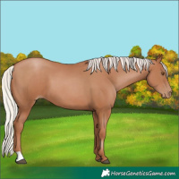 Horse Color:Silver Black Pearl 