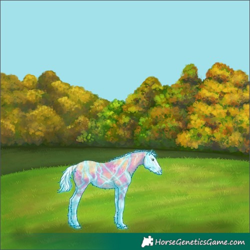 Horse Color:Thunderstruck Silver Amber Cream Champagne Ice Dun Splash 