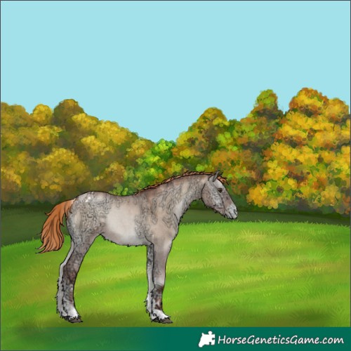 Horse Color:Liver Red Dun Ice Roan Pearl Onyx Tobiano Rabicano 