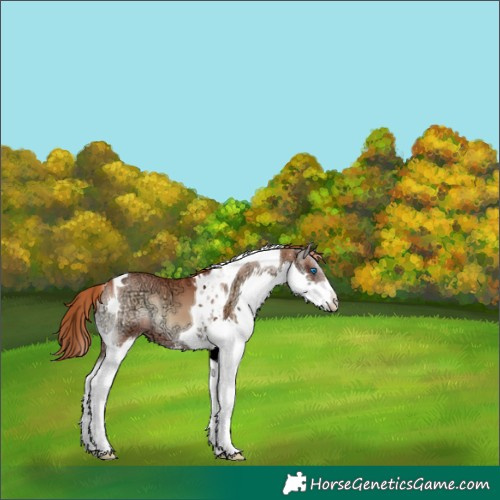 Horse Color:Red Onyx Ice Splash Tobiano 