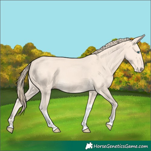 Horse Color:Perlino Tobiano