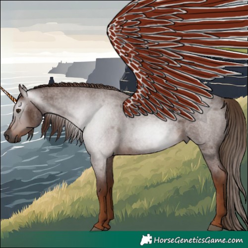 Horse Color:Gray Red Roan 