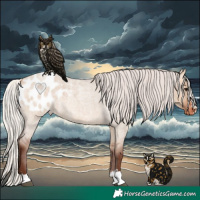 Horse Color:Silver Bay Roan Dun Blanket 