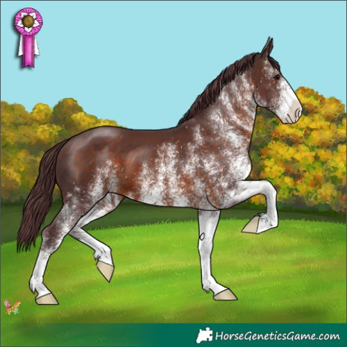 Horse Color:White Spotted Chocolate Brown 